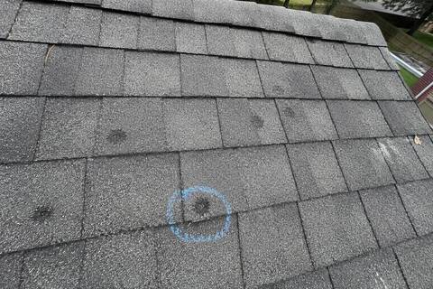 Round impact marks on a shingle slope, one of them circled in chalk