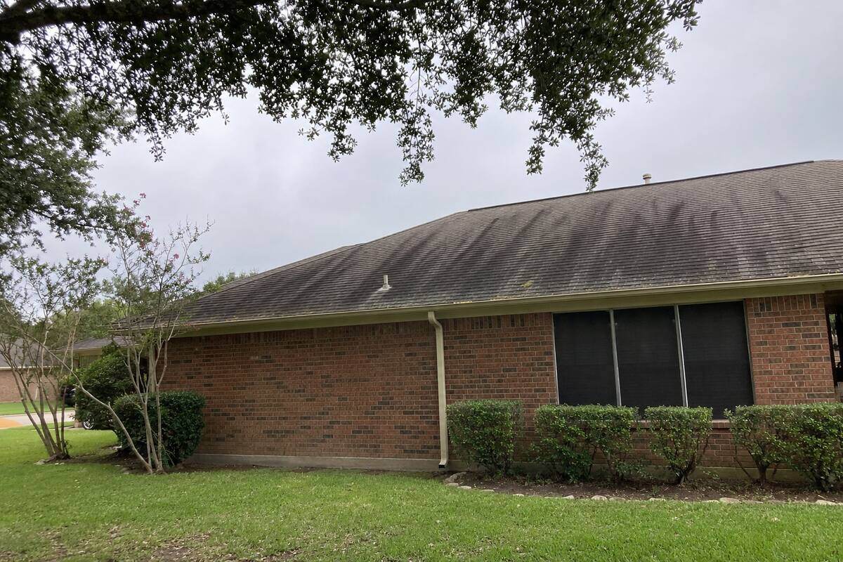 Dark streaks running down a shingle roof slope